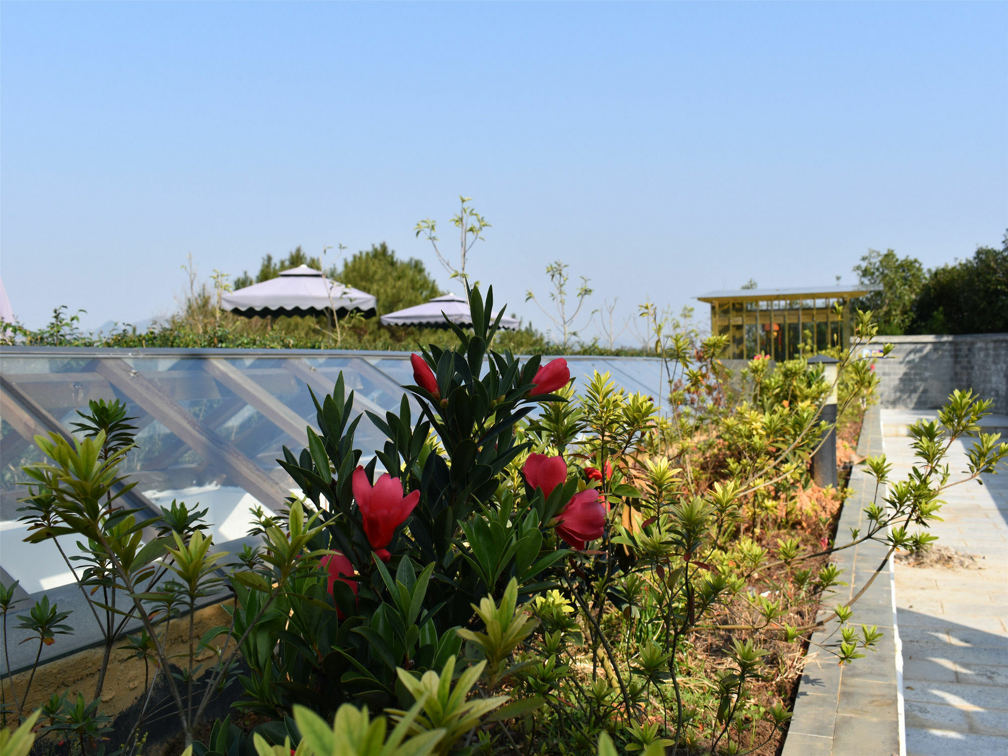 Yangshuo Mountain Top Retreat ภายนอก รูปภาพ
